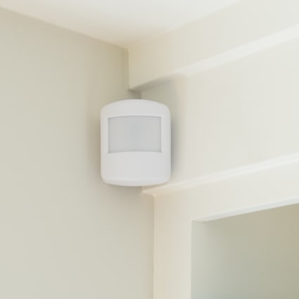 McAllen motion sensor