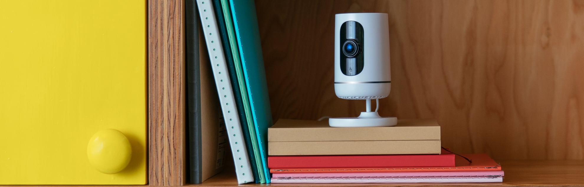 La Joya, TX security system